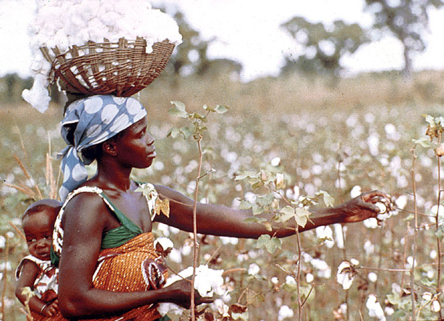 Cotton price negotiations begin